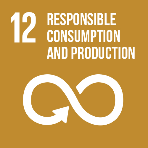 RESPONSIBLE CONSUMPTION AND PRODUCTION
